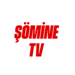 Şömine TV